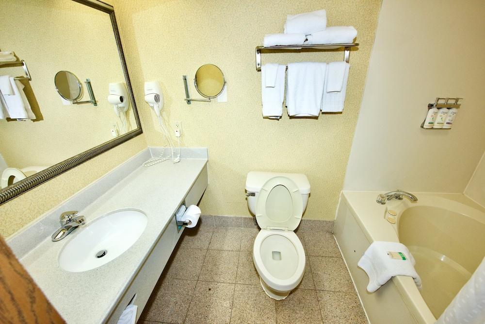 Holiday Inn Express & Suites St. Louis West - Fenton by IHG photo 37