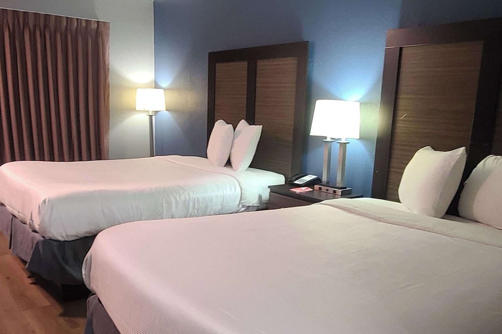 Econo Lodge Forest City photo 18