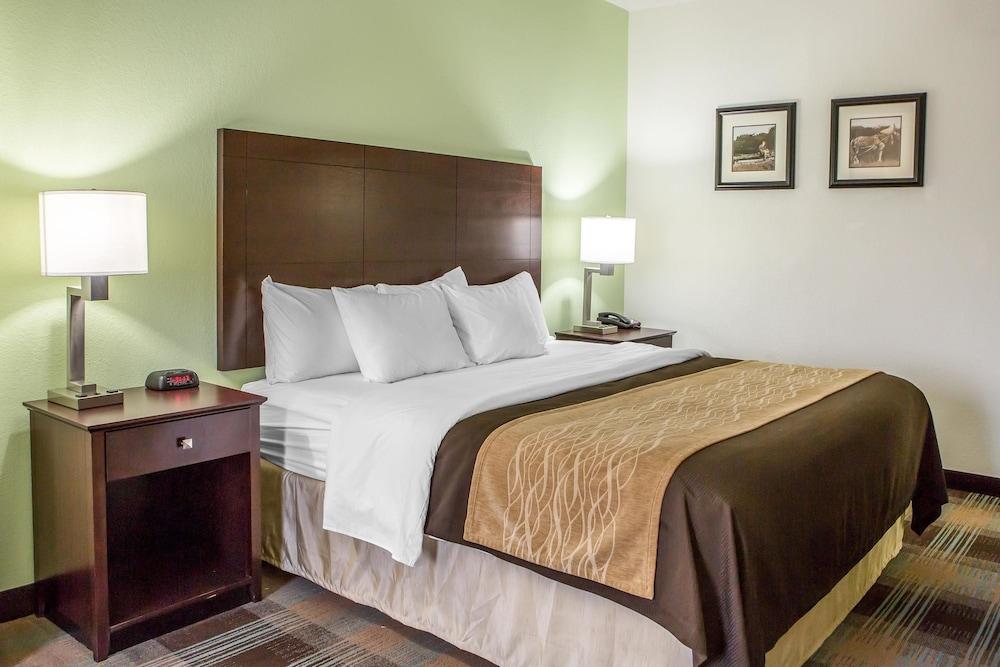 Comfort Inn Lexington South photo 4