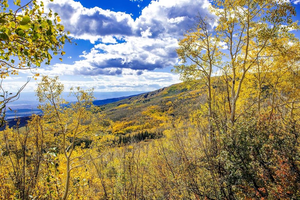 Grand Mesa Lodge photo 51