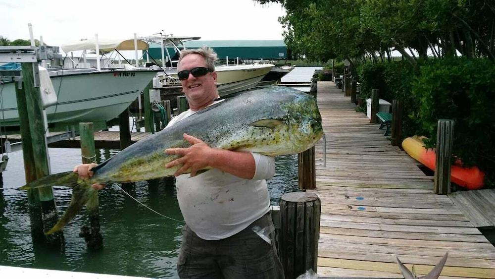 Dockside Inn & Resort photo 22