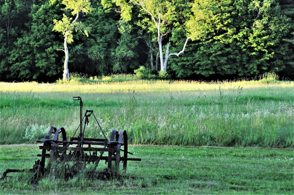 Gedney Farm photo 37