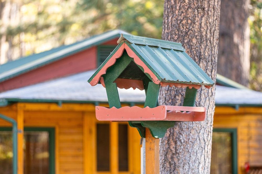 Ruidoso Lodge Cabins photo 97