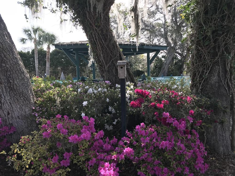 Steinhatchee River Inn photo 90