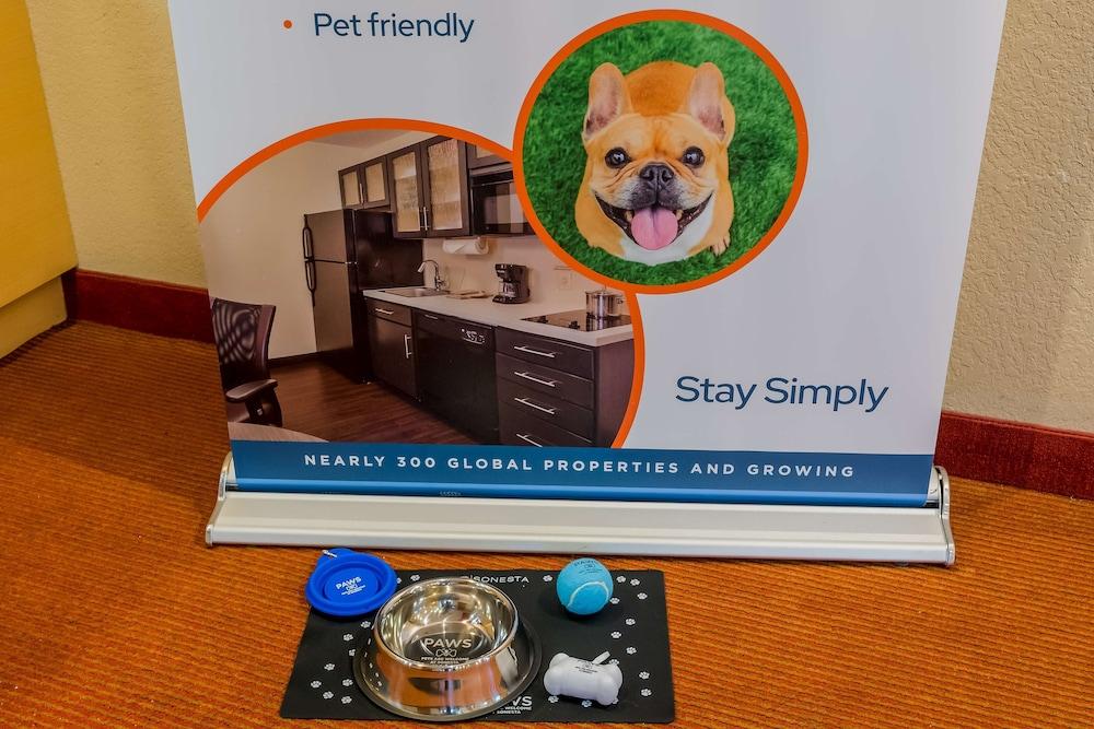 Sonesta Simply Suites Detroit Novi photo 35
