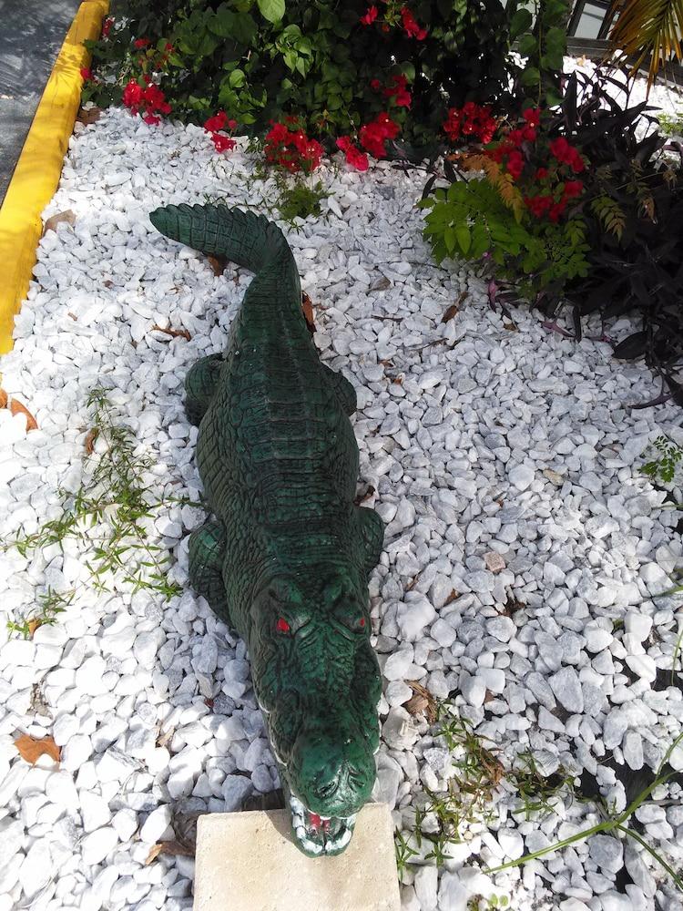 Merida Inn and Suites photo 30