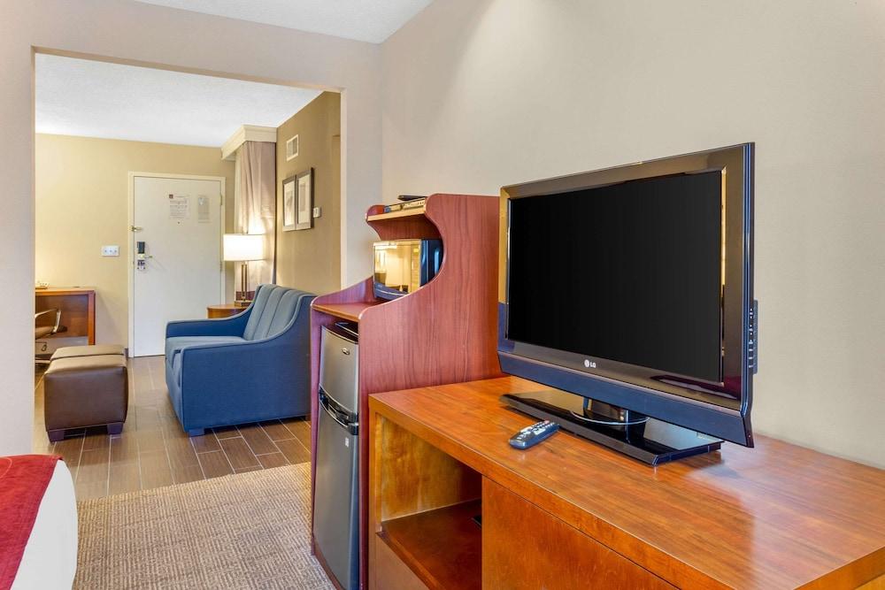 Comfort Suites Oakbrook Terrace near Oakbrook Center photo 12