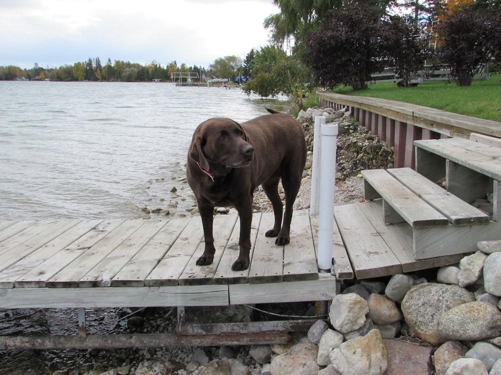 Grand Lake Resort photo 51