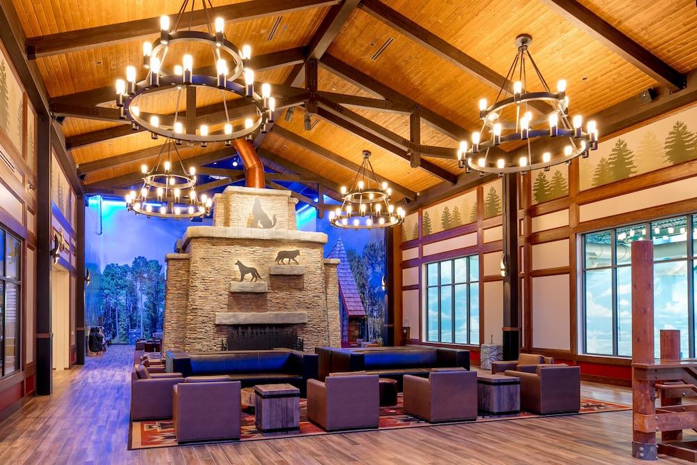 Great Wolf Lodge Illinois photo 3