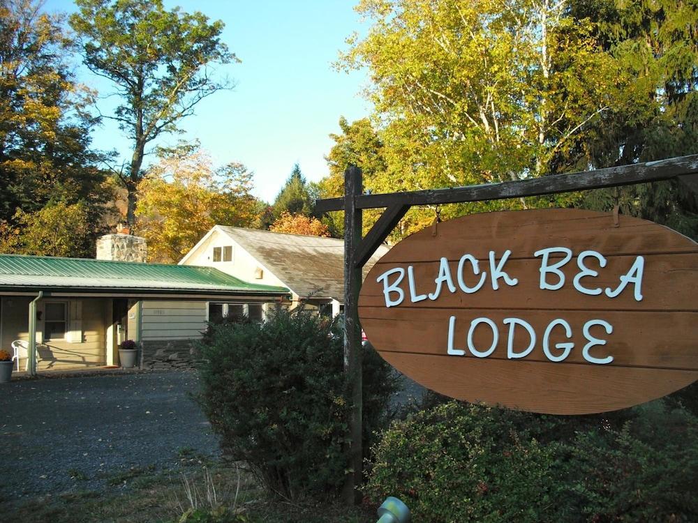 Black Bear Lodge photo 30