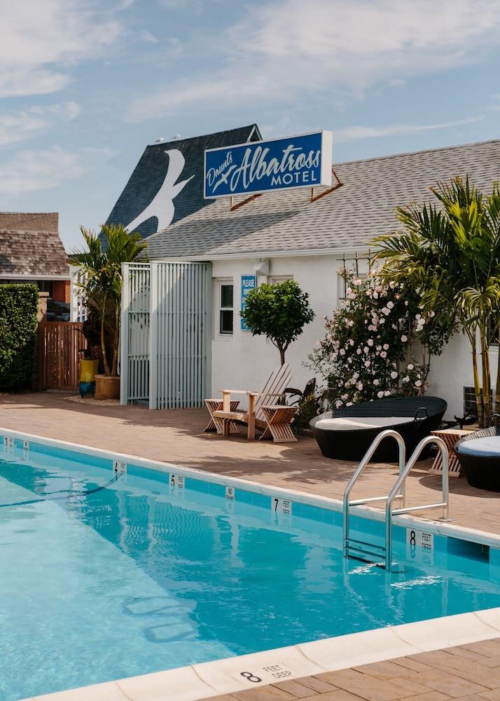 Daunt's Albatross Motel photo 22