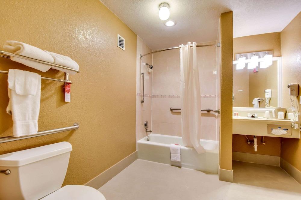 Econo Lodge Tampa near Busch Gardens photo 63