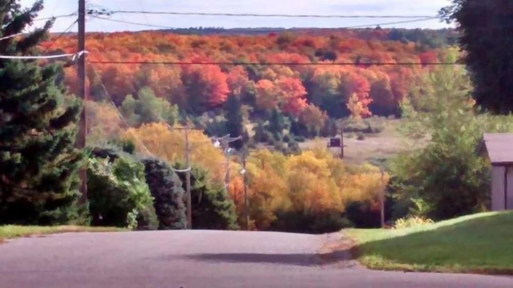 Chicaugon Lake Inn photo 63