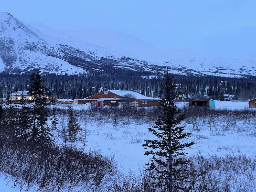 Cantwell Cabins photo 9