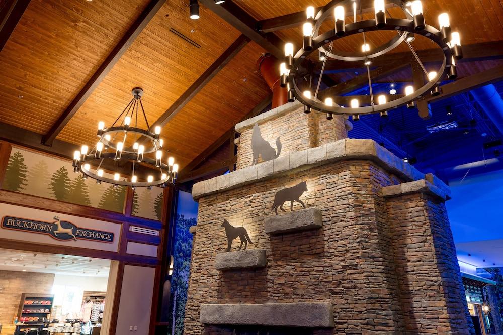Great Wolf Lodge Illinois photo 2