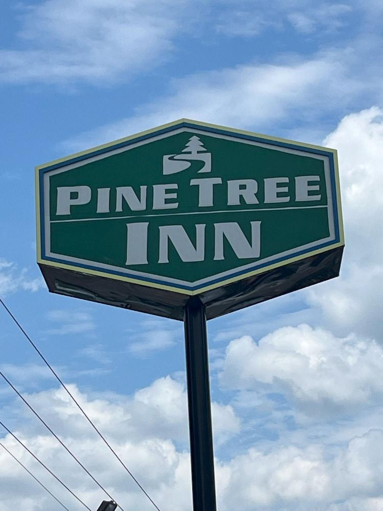 Pine Tree Inn photo 36