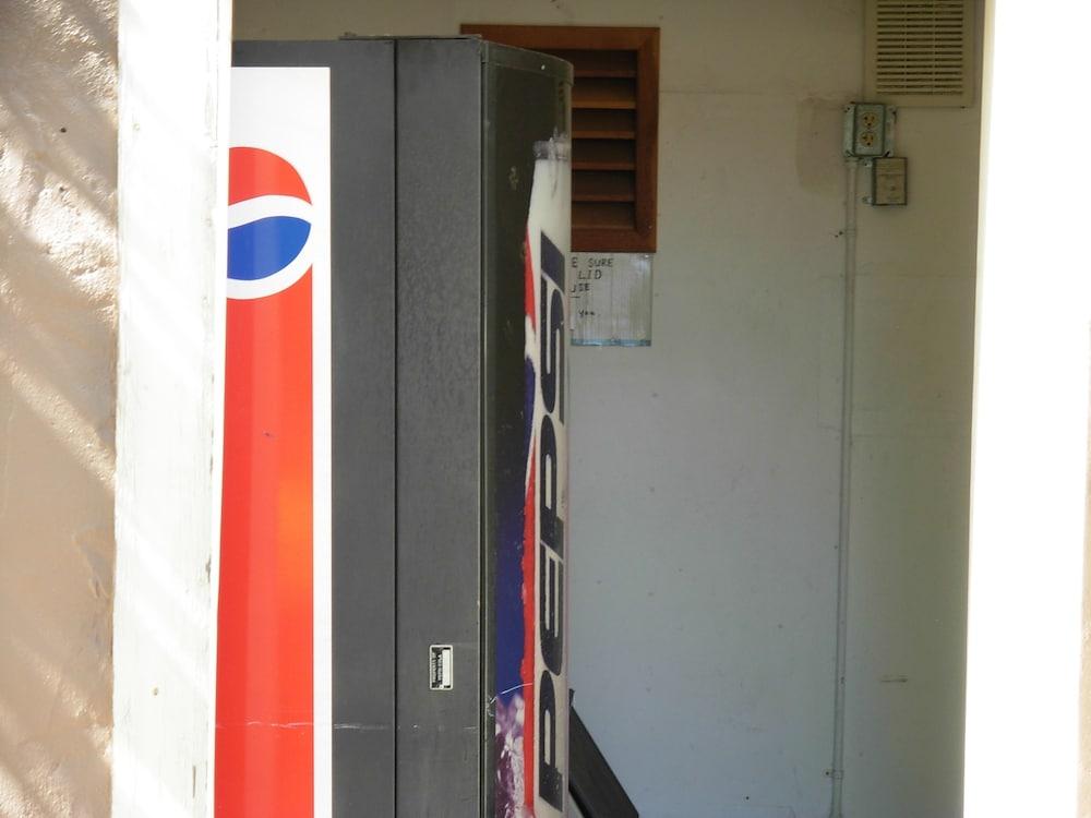 Jumping Frog Motel photo 35