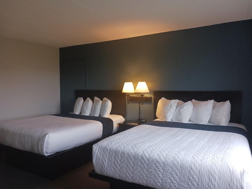 The Oasis Hotel & Bar photo 15