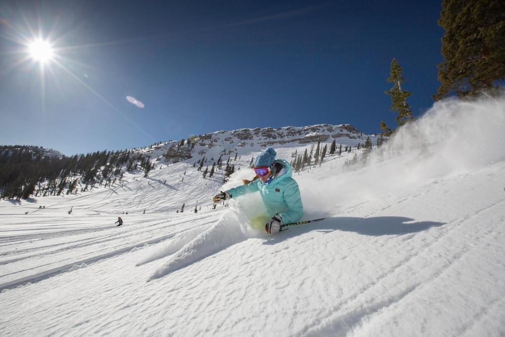 Lodge at Snowbird photo 22
