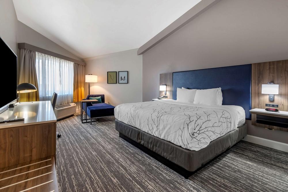 Best Western Premier Denver East photo 4
