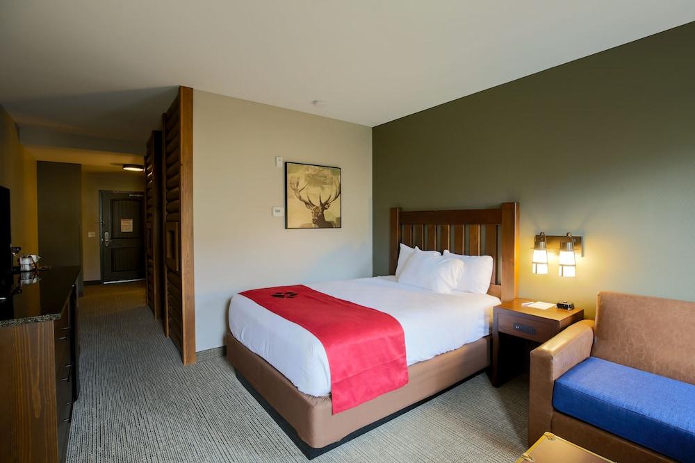 Great Wolf Lodge Illinois photo 20