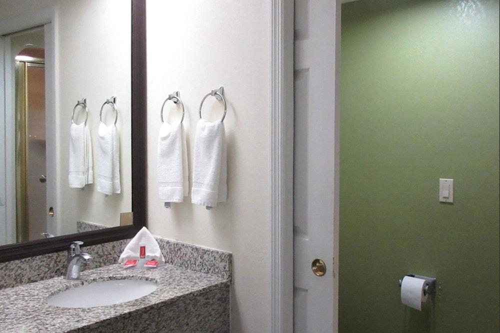 Rodeway Inn Albany South photo 3