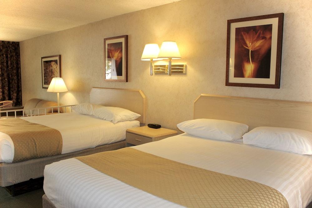 Impala Island Inn photo 3