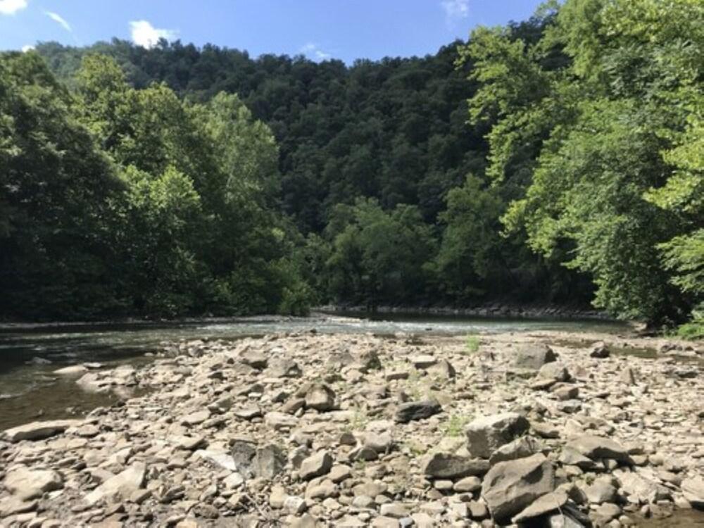 Fox Run Resort photo 23
