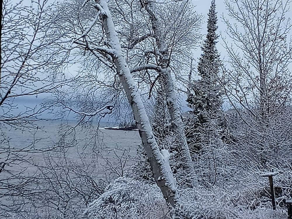 The Cliff Dweller on Lake Superior photo 11