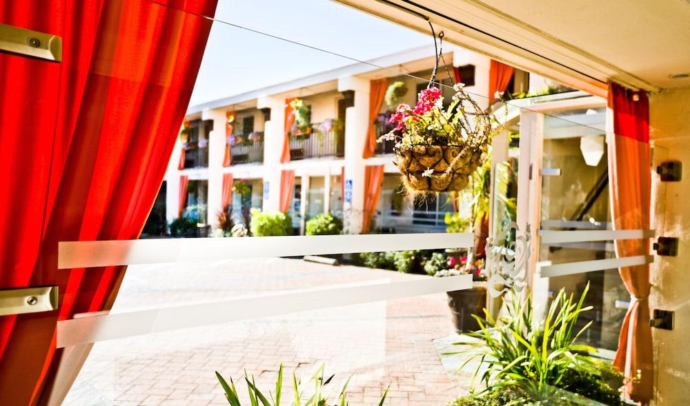 The Millwood - A Boutique Hotel photo 28