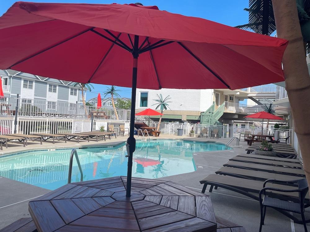 Ala Moana Motel photo 7