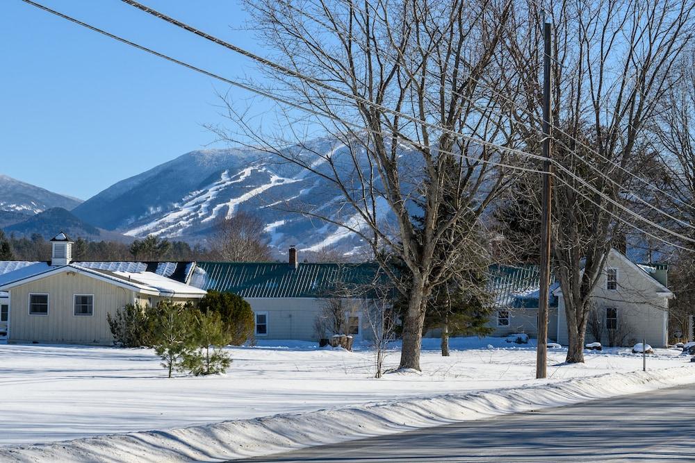 Gale River Motel photo 73