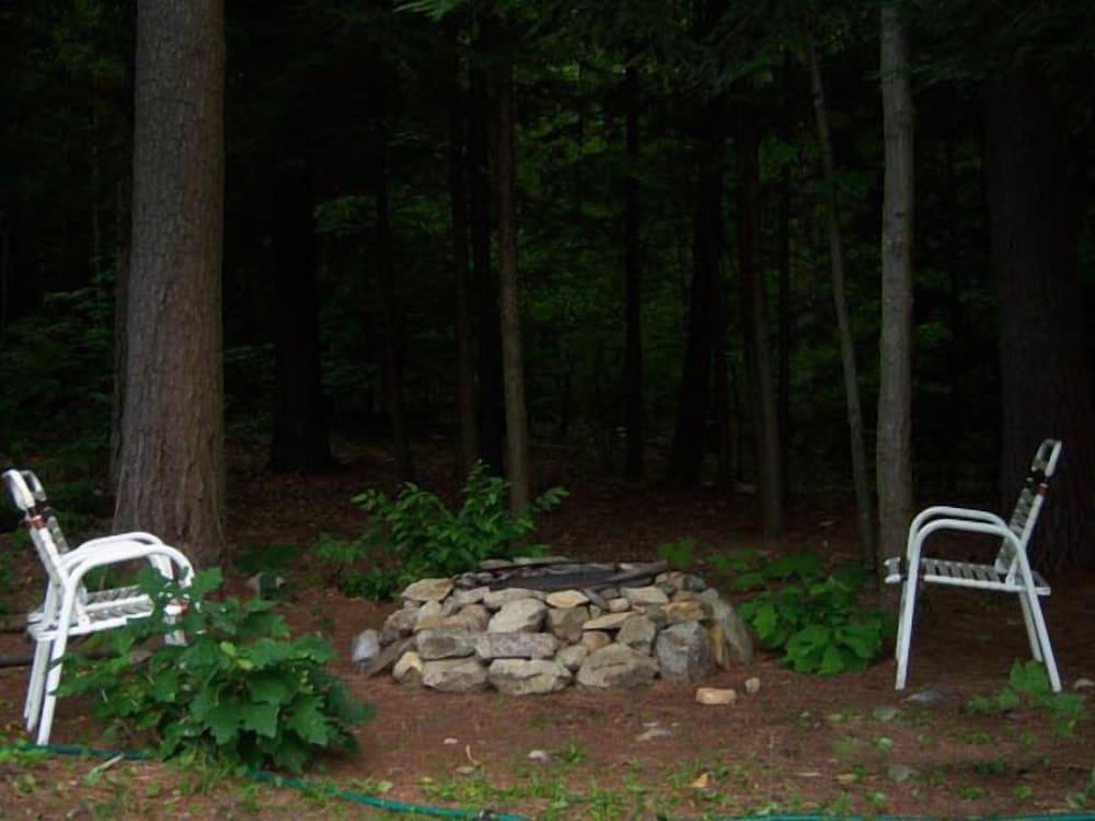 Tall Pines Motel photo 58