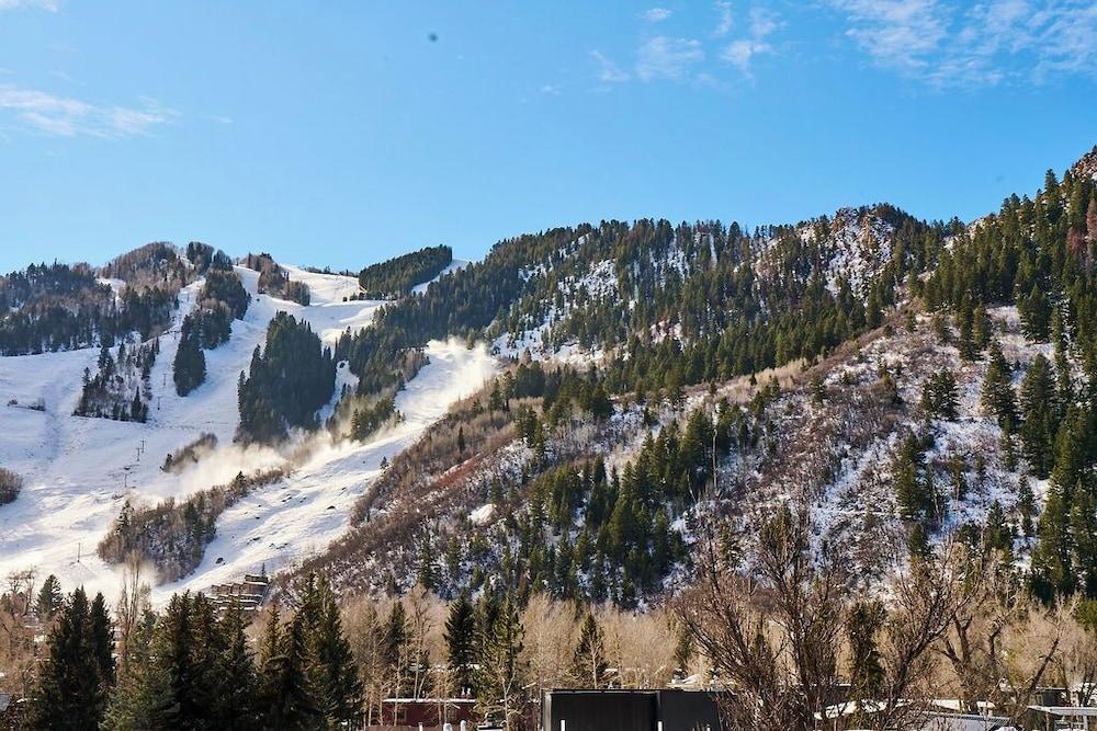 White Elephant Aspen photo 3