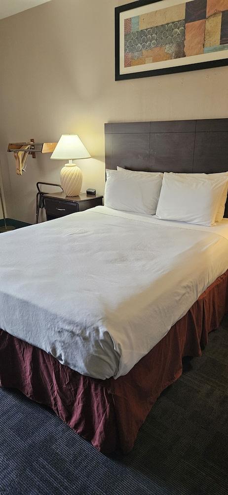 Bellis Inn photo 2