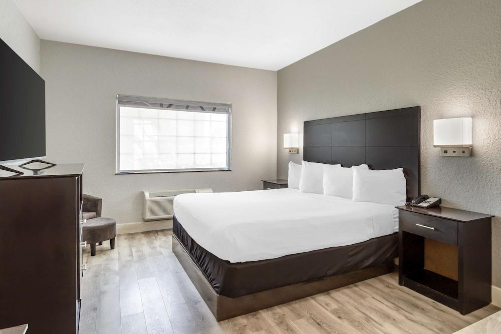 Best Western Texas City I-45 photo 14