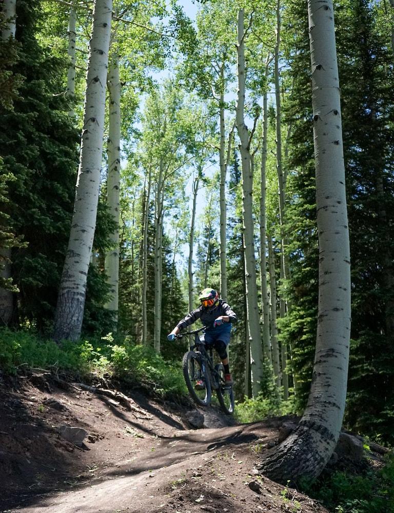 Powderhorn Lodging photo 28