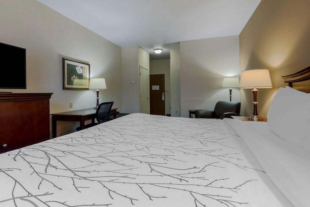 Best Western Plus Sweetwater Inn & Suites photo 8