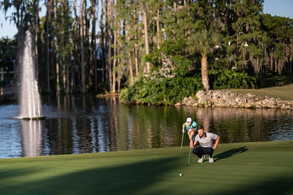 Saddlebrook Resort photo 38