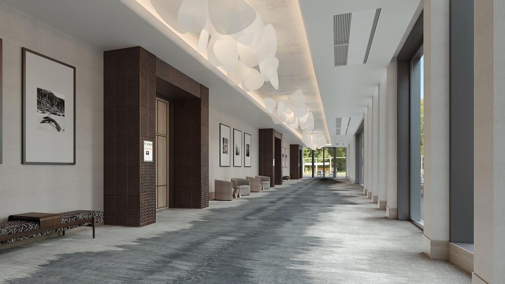 Hilton Jacksonville At Mayo Clinic photo 9