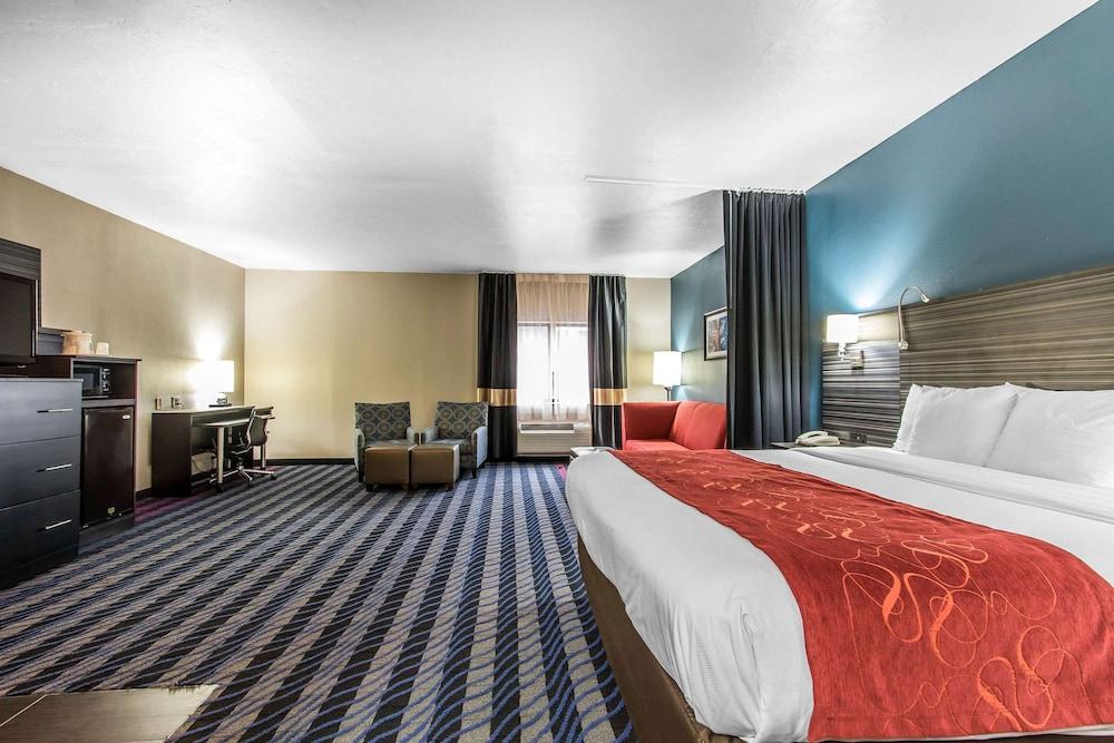 Comfort Suites Fairgrounds West photo 40