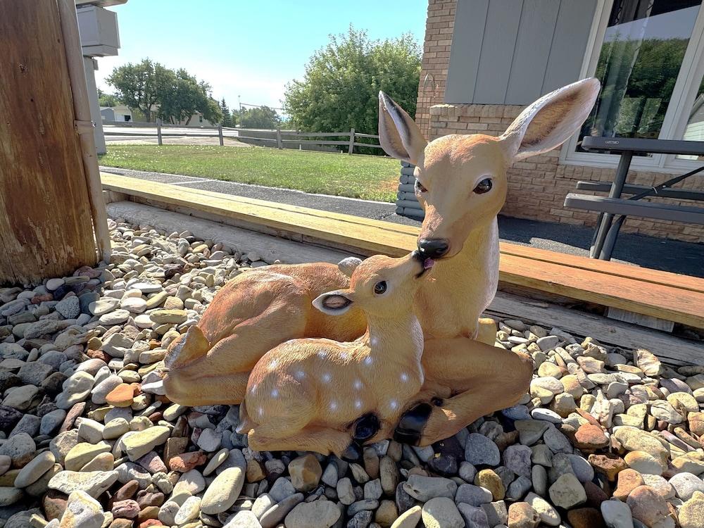 Deer Lodge Motel photo 5