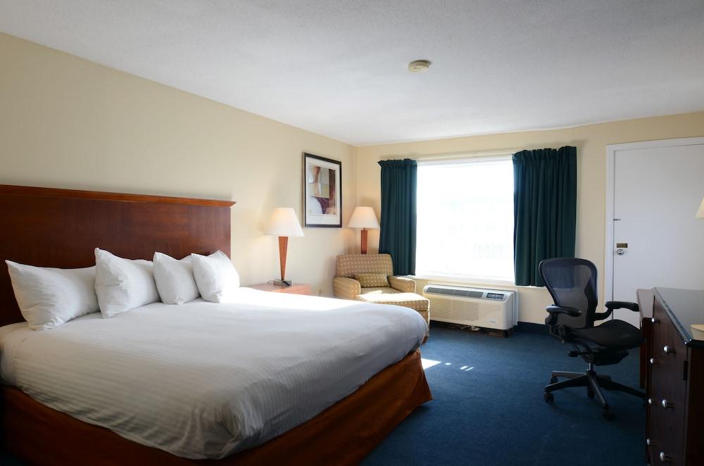 Hampton House Hotel photo 18