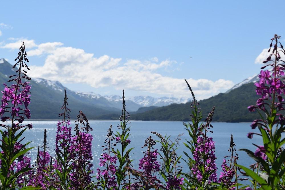 Zachar Bay Lodge Inc photo 13