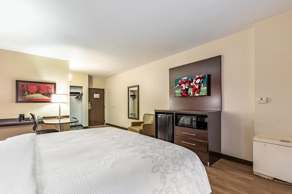 Red Roof Inn PLUS+ & Suites Houston - IAH Airport SW photo 15