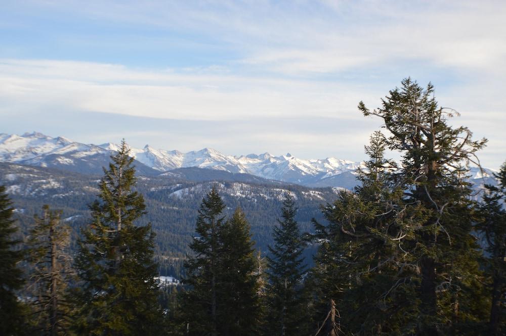 Montecito Sequoia Lodge photo 70