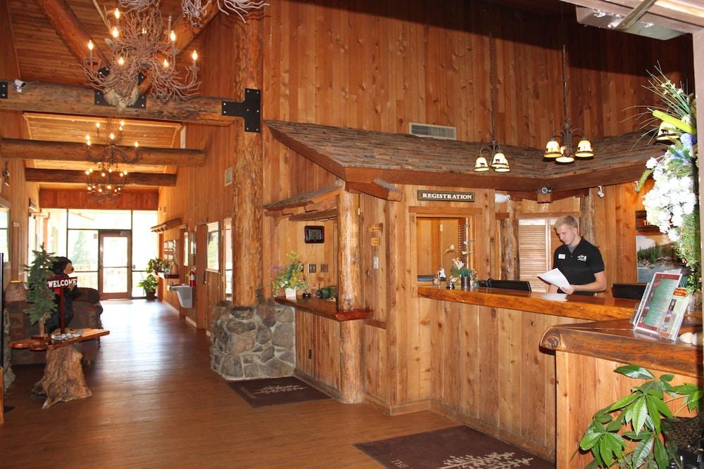 The Pines Resort photo 2