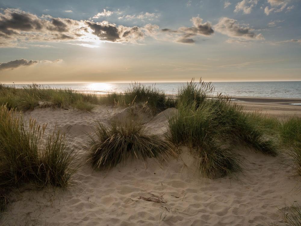 Pacific Dunes Resort photo 59