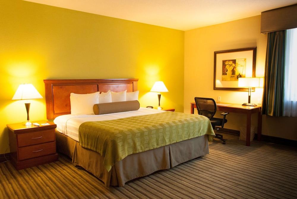 Best Western Plus Miami-Doral/Dolphin Mall photo 5