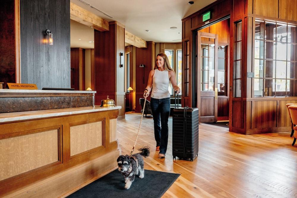 Hotel Renegade photo 8